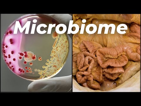 The Bacteria That Live INSIDE of You — The Microbiome
