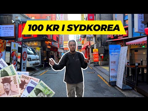 Hvad får man for 100 kr. i Seoul? 🇰🇷 │ Simon & Emily i Sydkorea ✈️