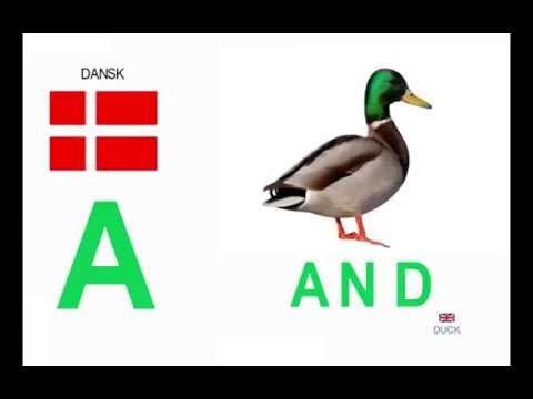 Danish Alphabet - Det danske alfabet