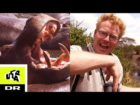 FLODHESTEN | Sebastian og Afrikas vildeste dyr | Ultra
