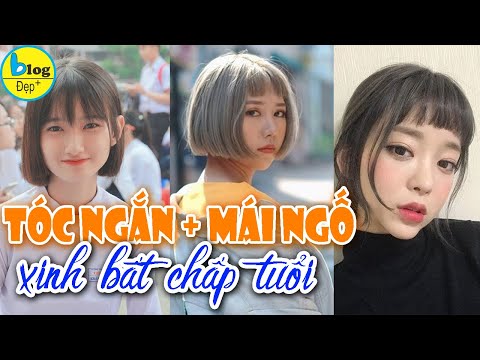 10 kiểu tóc ngắn mái ngố: Kiểu tóc đẹp không bao giờ lỗi thời 10 kiểu tóc ngắn mái ngố: Kiểu tóc đẹp không bao giờ lỗi thời