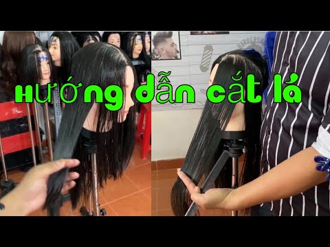 Hướng dẫn cắt tóc lá sole nhọn - teach to cut leaves with pointed leaves