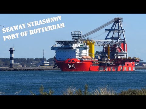 SHIPSPOTTING 2023 - Arrival and Departure compilation of ships